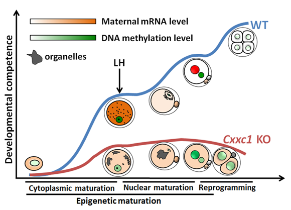 17-FHY.png 17-FHY.png