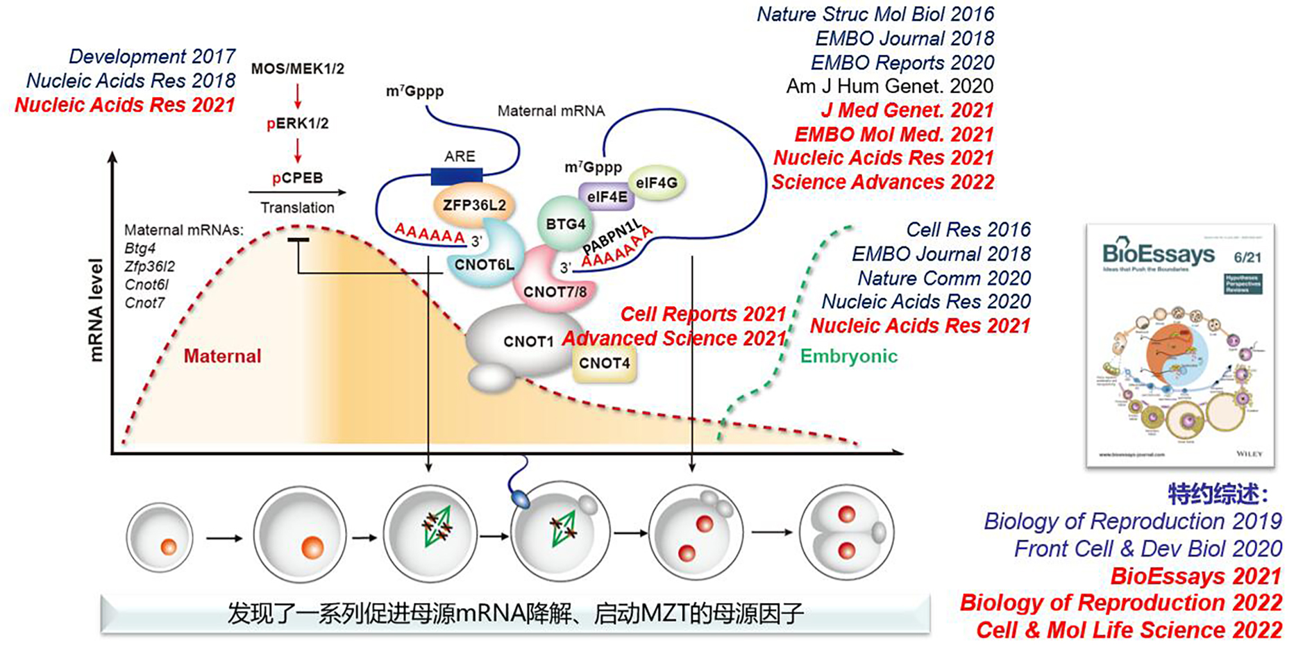 点击《 点击《 点击《研究方向-3.jpg》查看详情》查看详情》查看详情