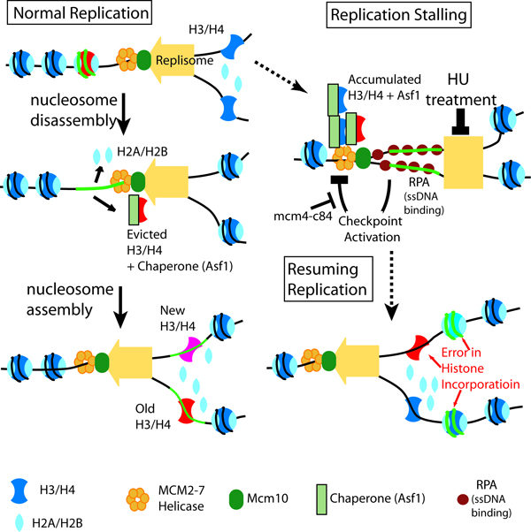 170727-HXW.jpg 170727-HXW.jpg