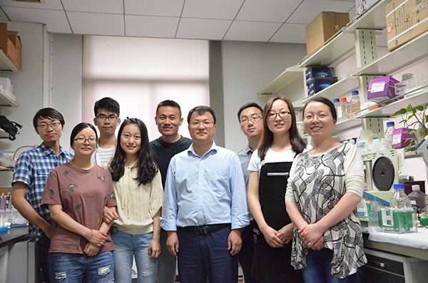 NEW-十大学术进展2016-ZYQ.jpg NEW-十大学术进展2016-ZYQ.jpg