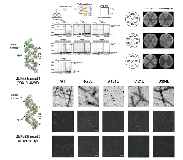 YeLabnews4LSI.jpg YeLabnews4LSI.jpg