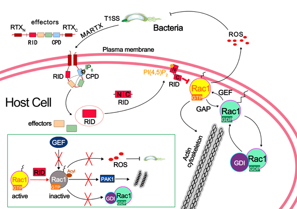 RID13-朱勇群2.jpg RID13-朱勇群2.jpg
